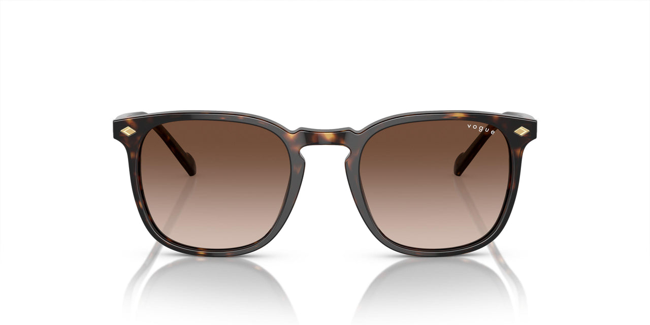 W65613 - Havana - Brown Gradient