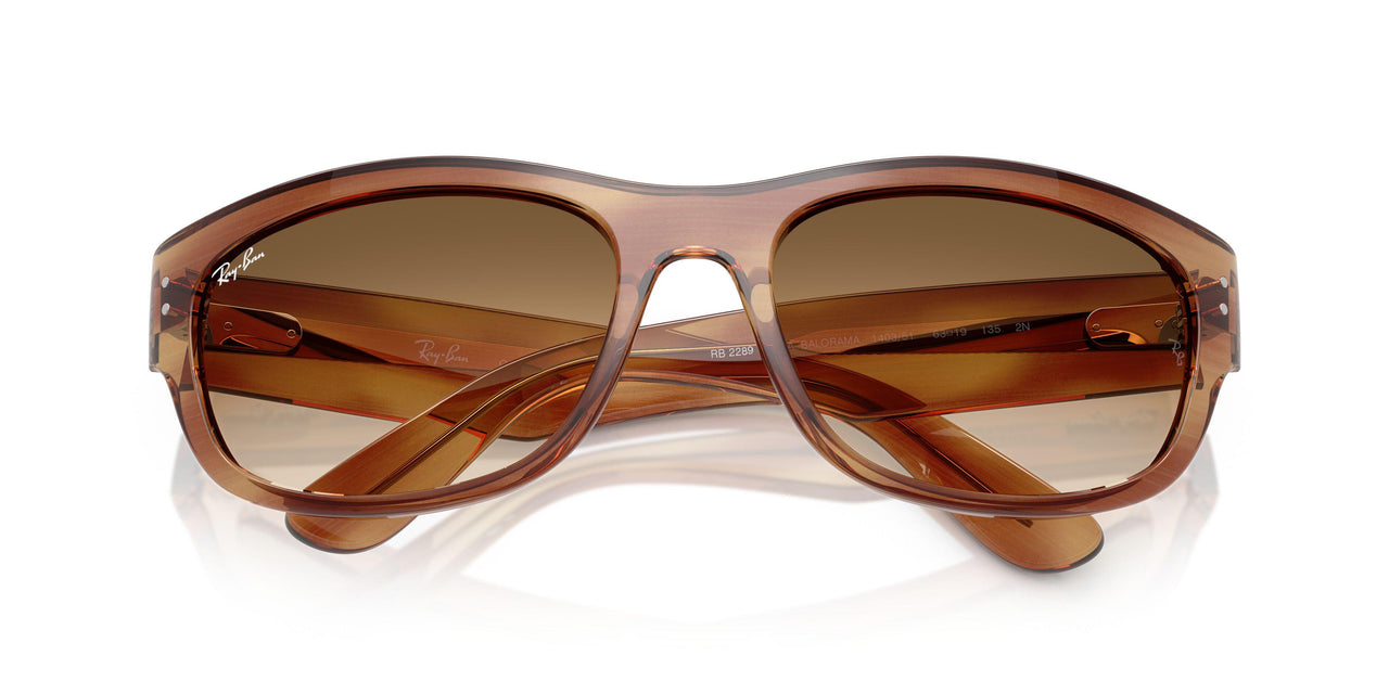 140351 - Tortoise - Clear Gradient Brown
