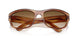 140351 - Tortoise - Clear Gradient Brown