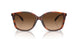 574174 - Tortoise - Brown Gradient