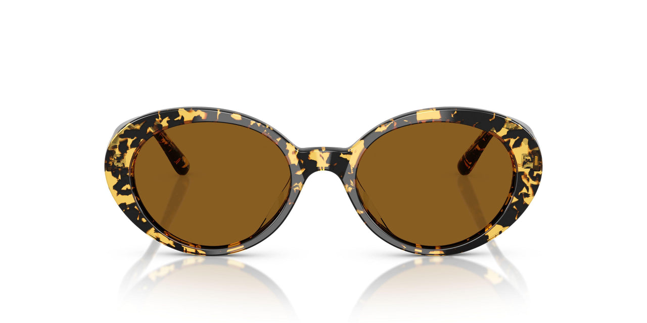 177853 - Tortoise - True Brown