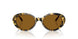 177853 - Tortoise - True Brown