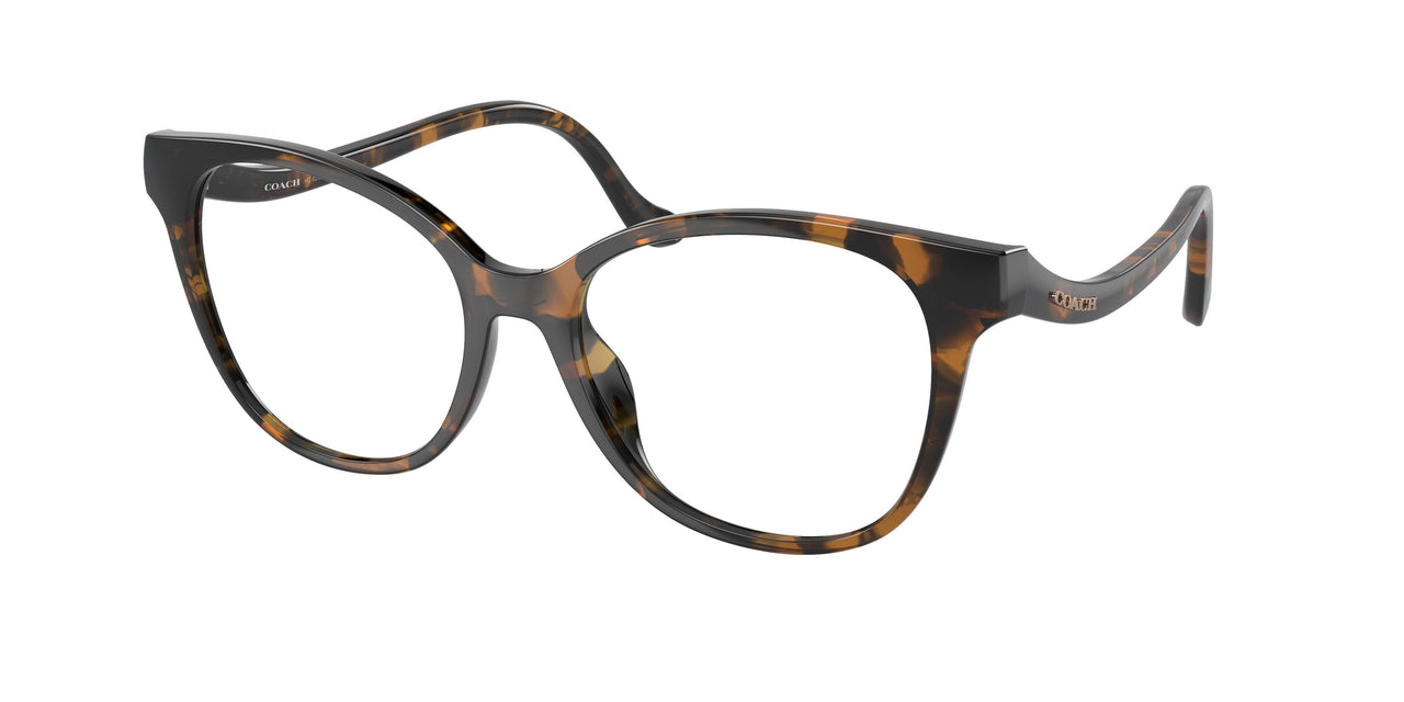 5120 - Tortoise