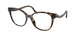 5120 - Tortoise