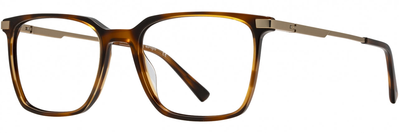 3 - Tortoise / Gold