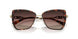 4031E2 - Tortoise - Brown Gradient