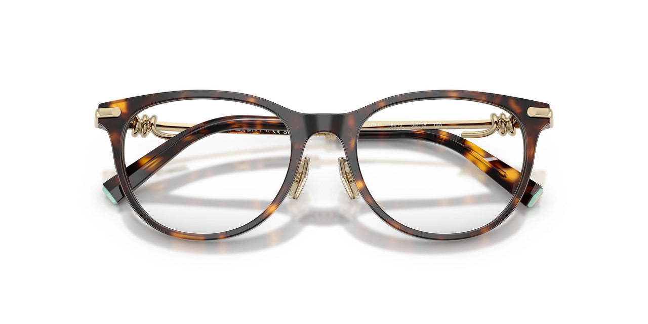 8015 - Tortoise