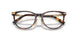 8015 - Tortoise