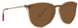 Blenders 206033 North Park X2 Sunglasses