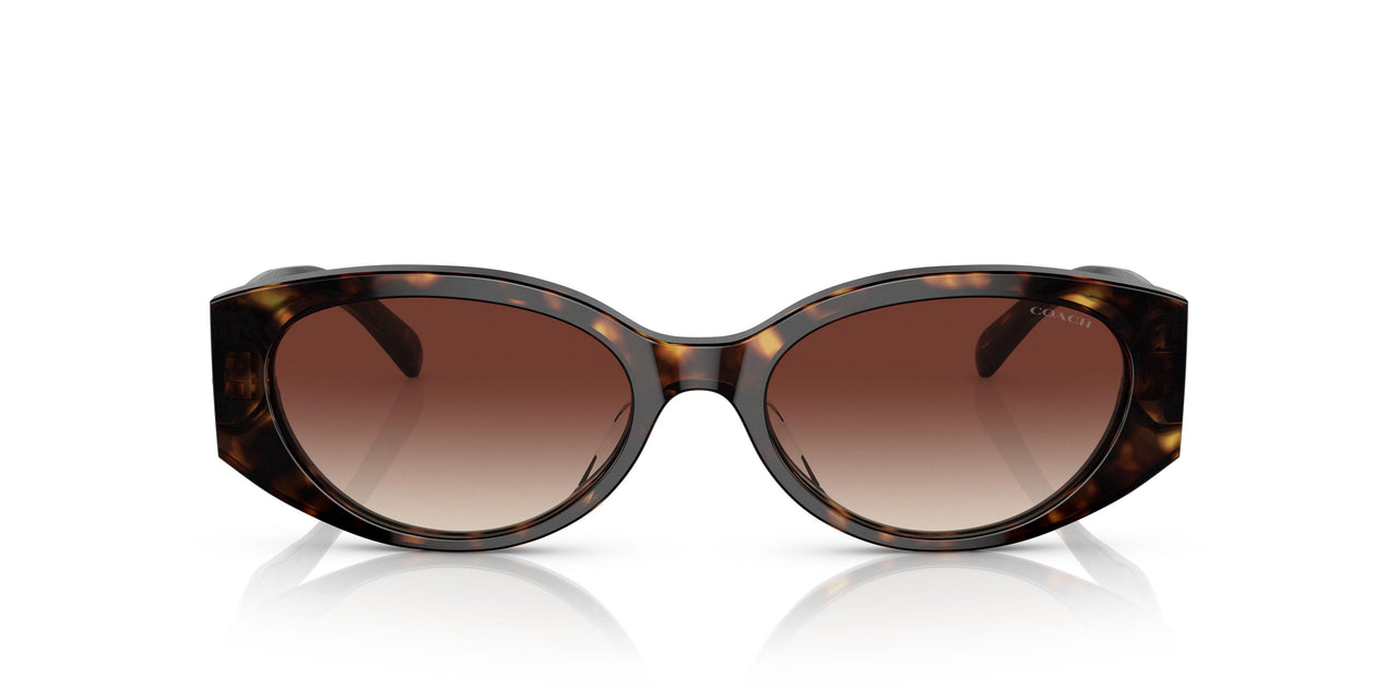 512013 - Havana - Dark Brown Gradient
