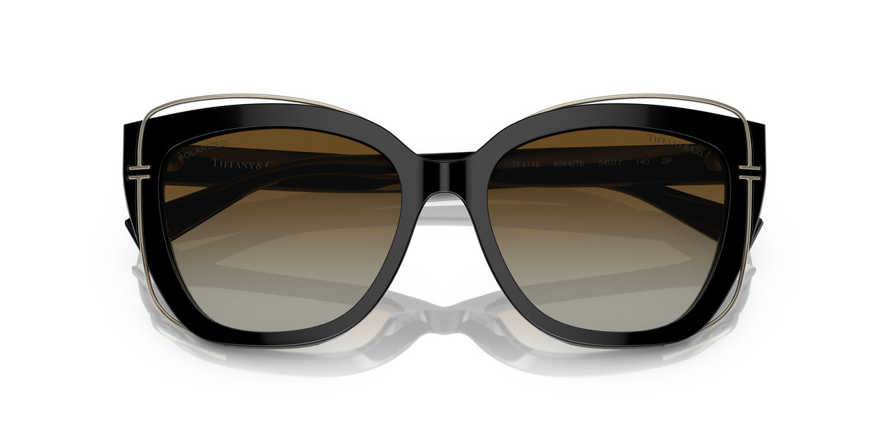 8364T5 - Black - Polar Brown Gradient