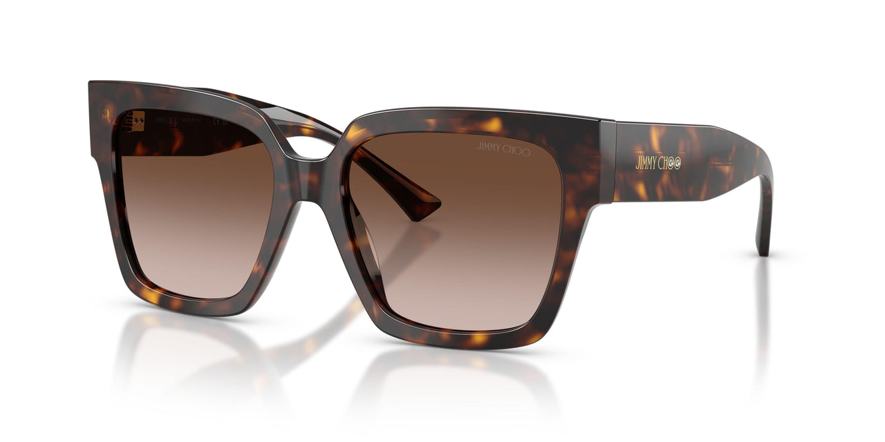 500213 - Tortoise - Gradient Brown