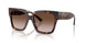 500213 - Tortoise - Gradient Brown