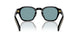 16K04D - Black - Polarized Green