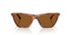 509673 - Brown - Dark Brown