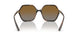 W656T5 - Havana - Polar Brown Gradient