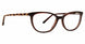 CHN - Chestnut