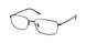 Polo 1212D Eyeglasses