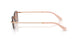 40147N - Gold - Light Purple Brown