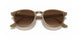 616613 - Light Brown - Brown Gradient