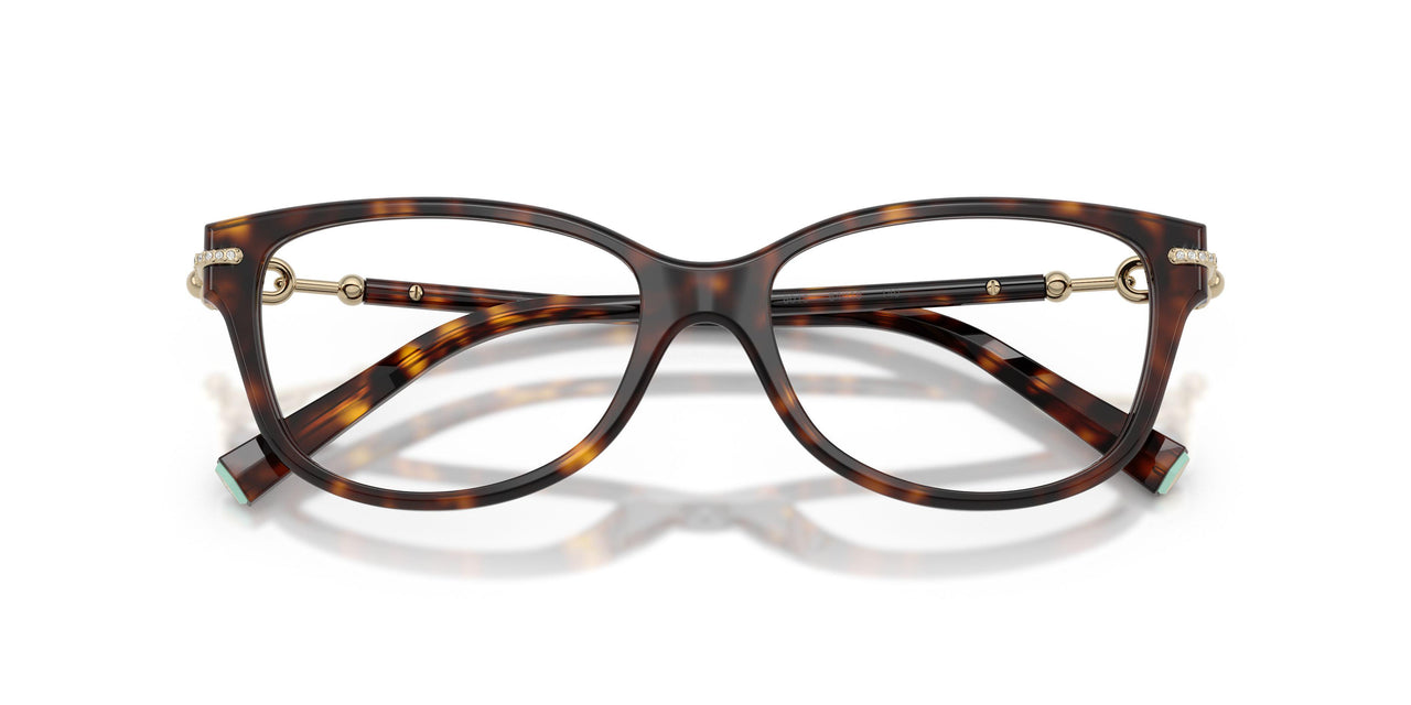 8015 - Tortoise