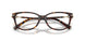 8015 - Tortoise