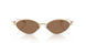300673 - Gold - Dark Brown