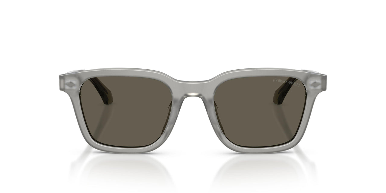 647471 - Grey - Dark Brown