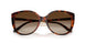 W65613 - Brown - Gradient Brown