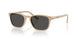26I08Z - Brown - Dark Grey