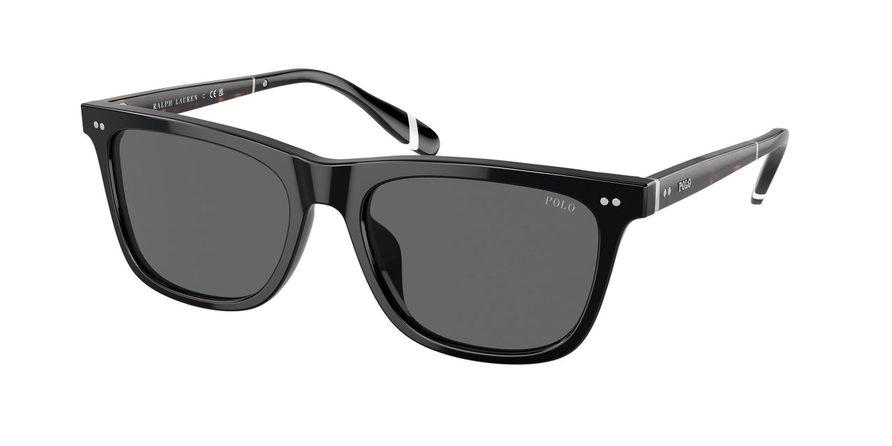 Polo 4205U Sunglasses