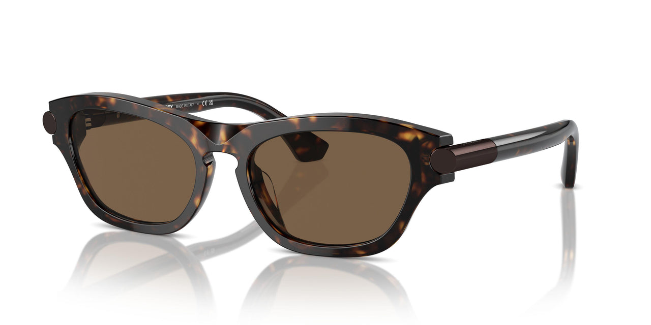 300273 - Brown - Dark Brown