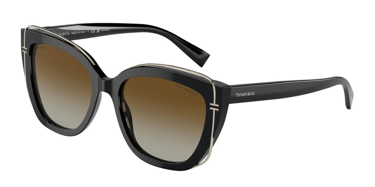 8364T5 - Black - Polar Brown Gradient