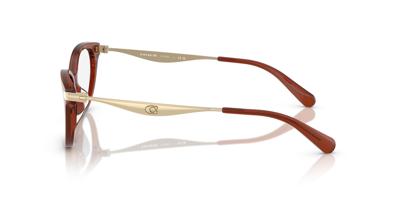 5847 - Brown