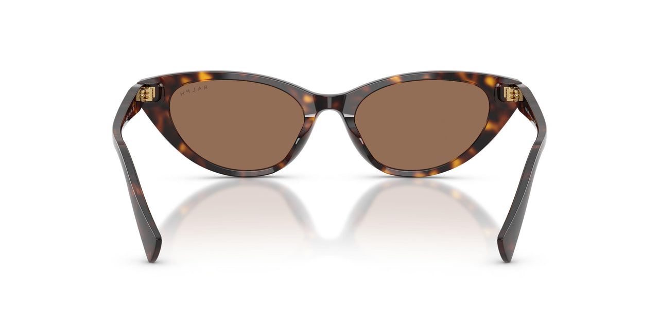500373 - Tortoise - Brown