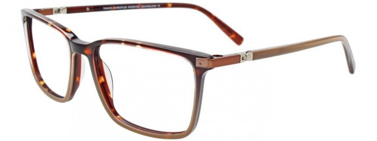 10 - Tortoise & Light Brown