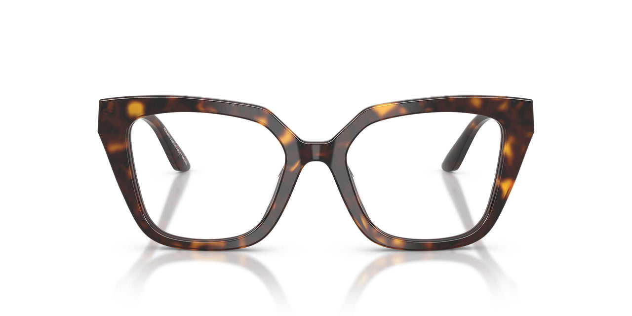 5026 - Tortoise
