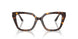 5026 - Tortoise