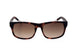 SN2 - BROWN TRANSPARENT BROWN HAVANA BROW