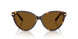 801583 - Tortoise - Dark Brown Polar