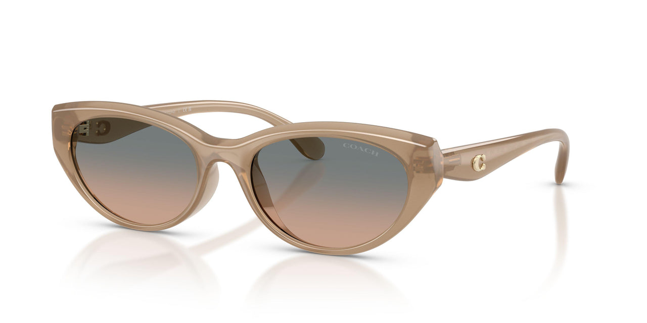 Coach Cdp42 8456D Sunglasses