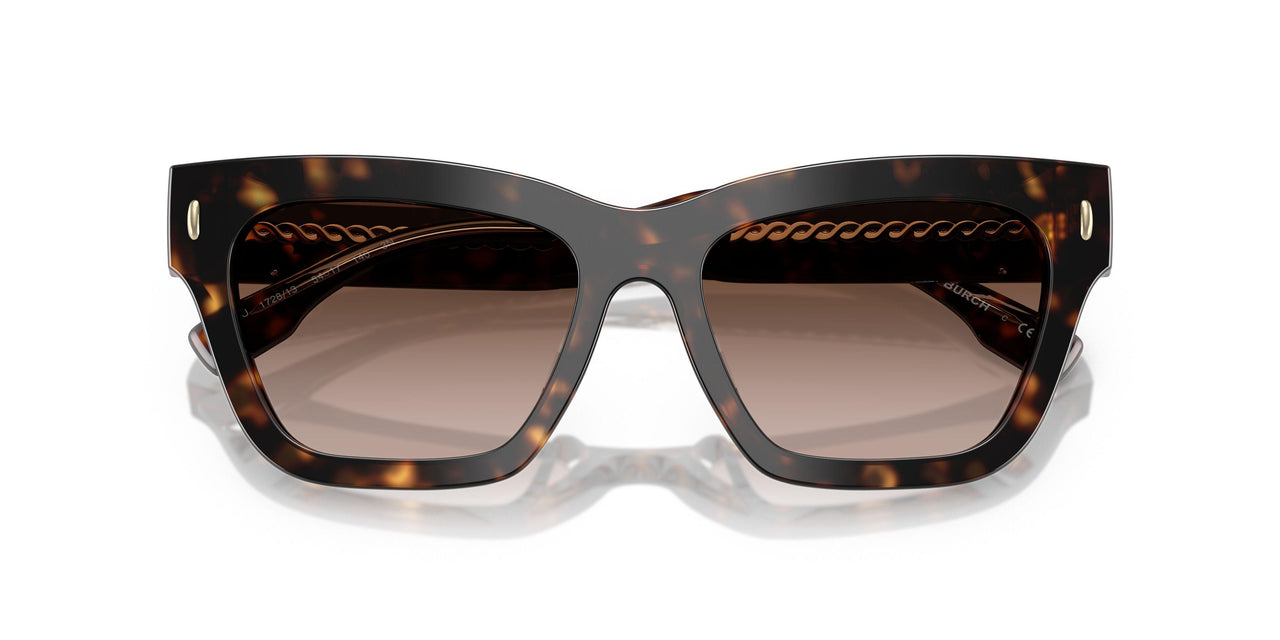 172813 - Tortoise - Brown Gradient