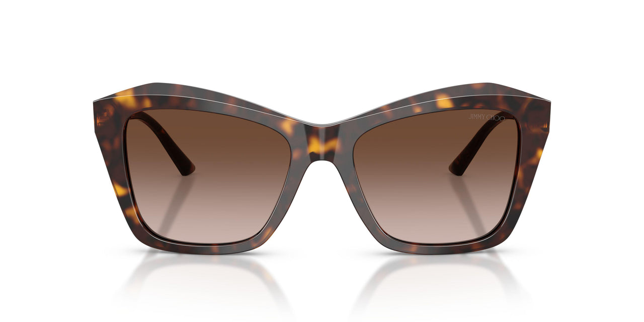 500213 - Tortoise - Brown Gradient