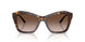 500213 - Tortoise - Brown Gradient
