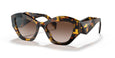 VAU6S1 - Havana - Brown Gradient