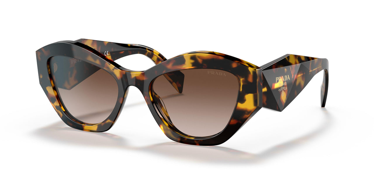 VAU6S1 - Havana - Brown Gradient