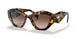 VAU6S1 - Havana - Brown Gradient