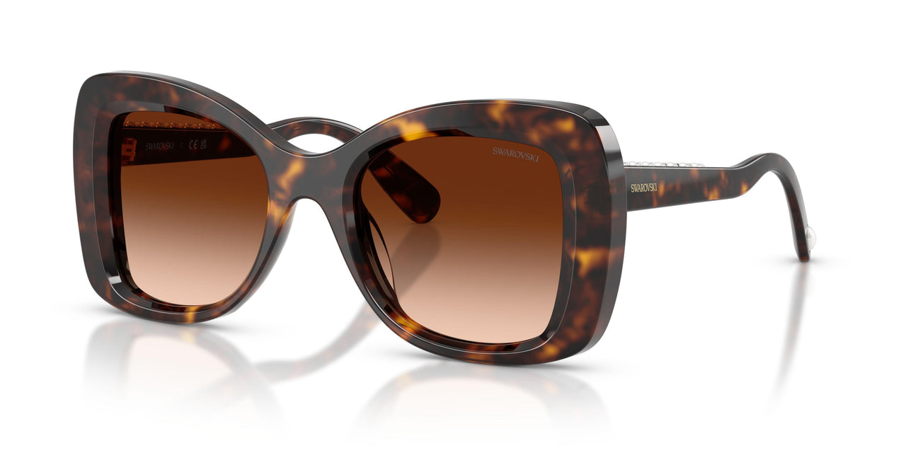 100274 - Tortoise - Gradient Brown