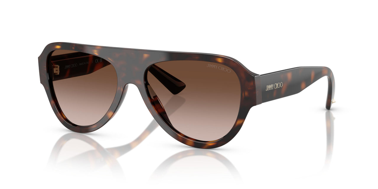 500213 - Tortoise - Gradient Brown