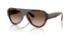 500213 - Tortoise - Gradient Brown